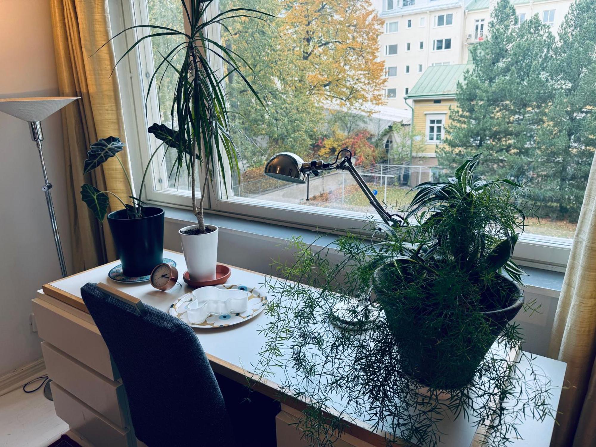 Lovely Apartment, Vuorimiehenkatu 31 Helsinki